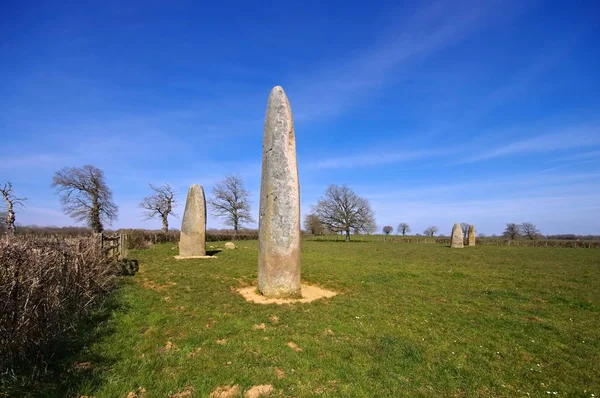 Menhirs d epoigny in frankreich — Stockfoto