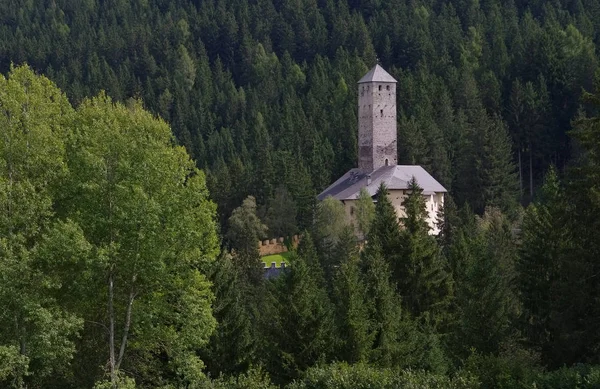 Castle Welsberg Alto Adige — 스톡 사진