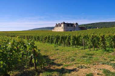 Chateau du Clos de Vougeot, Cote d'Or, Burgundy