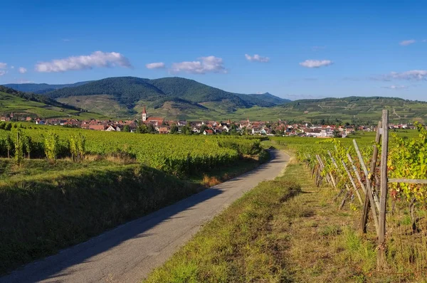 Town Ammerschwihr in Alsacia, Francia — Foto de Stock