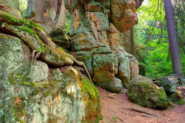 Rocas en Stolowe Montañas en Silesia — Foto de Stock