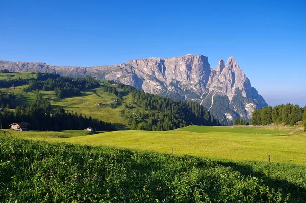 Montagna dello Schlern in Alto Adige — Foto Stock