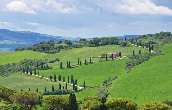 Curva dei cipressi in Toscana — Foto Stock