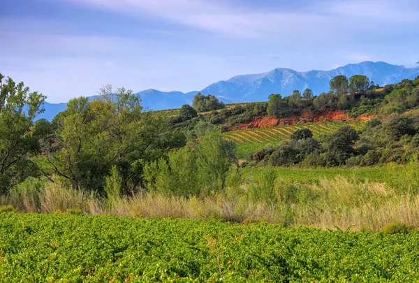 Corbieres, rural landscape in southern France — Stock Photo, Image