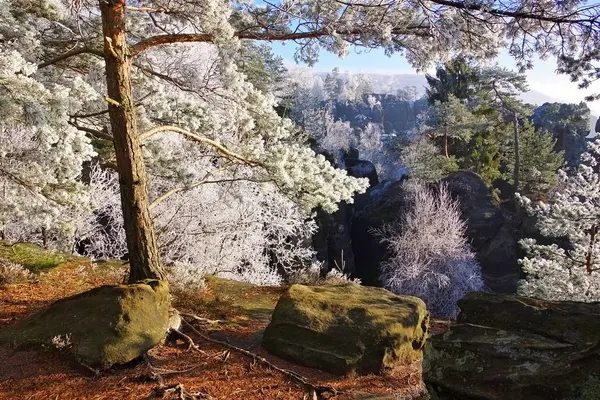 Elbe sandstone mountains in winter — Stock Photo, Image