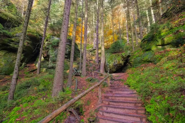 Hiking trail Elbe kumtaşı Dağları — Stok fotoğraf