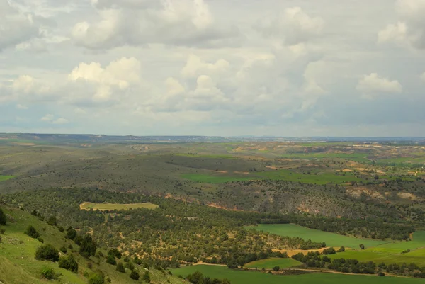 Gormaz field landscape — Stock Photo, Image