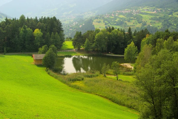 Pastizales de los Alpes en Austria —  Fotos de Stock