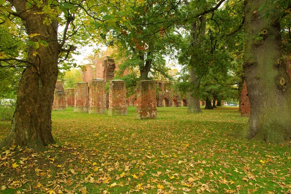 Greifswald Abbey in fall — Stock Photo, Image