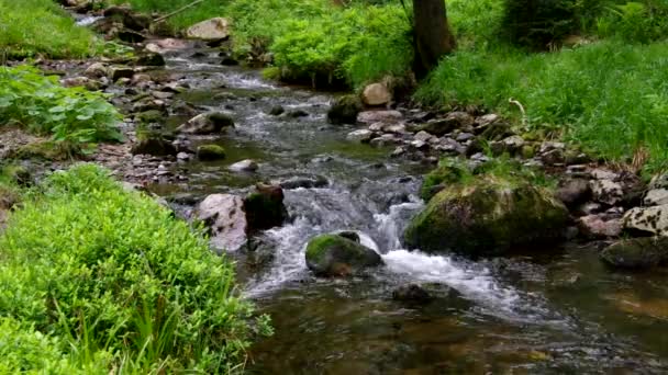 Vodopád řeka Bode v Harz — Stock video