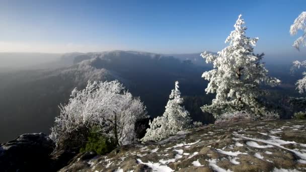 Elbe montagnes de grès en hiver et le givre, montagne Teichstein — Video