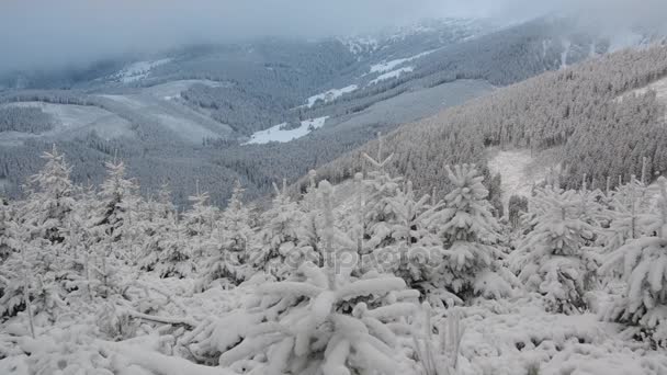 Montagne giganti in inverno nevoso — Video Stock