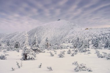 mountain Sniezka in winter clipart