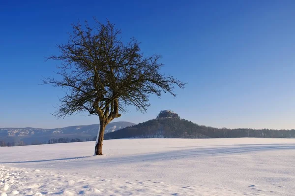 Berg Zirkelstein in de winter — Stockfoto
