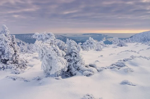 Montañas gigantes en invierno — Foto de Stock