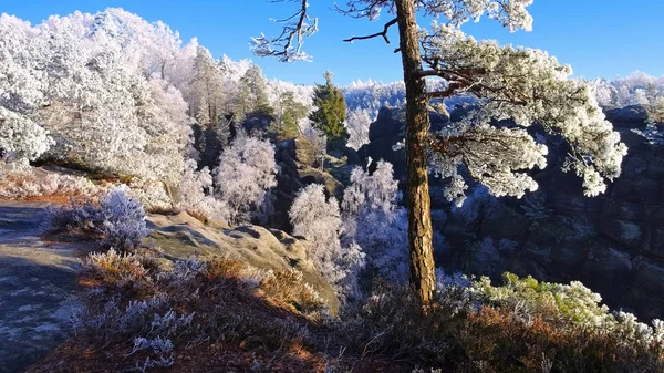 Elbe sandstone mountains in winter — Stock Photo, Image