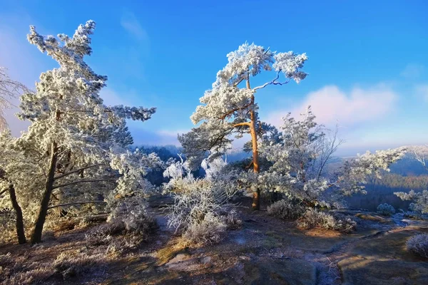 Elba arenisca montañas en invierno mirador Domerker — Foto de Stock