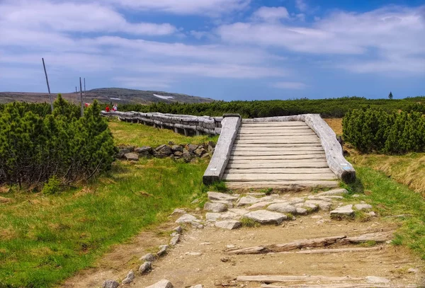 Hiking trail in peatbog in Giant Mountains — Stock Photo, Image