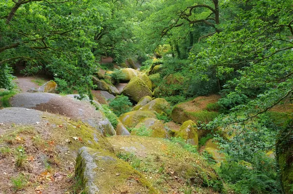 Huelgoat forest Le Menage de la Vierge en Bretaña — Foto de Stock