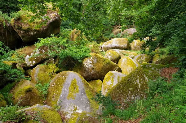 Huelgoat forest  Le Menage de la Vierge in Brittany — стокове фото