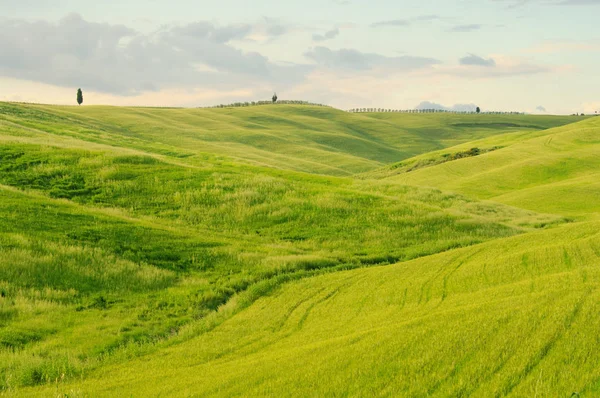 Tuscany hills in spring — Stock Photo, Image