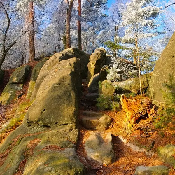 Sendero en las montañas de piedra arenisca del Elba — Foto de Stock