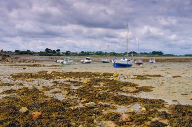 Brittany tekneler düşük tide at