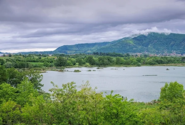 Wetland nature reserve, Torbiere del Sebino near Lake Iseo — Stock Photo, Image