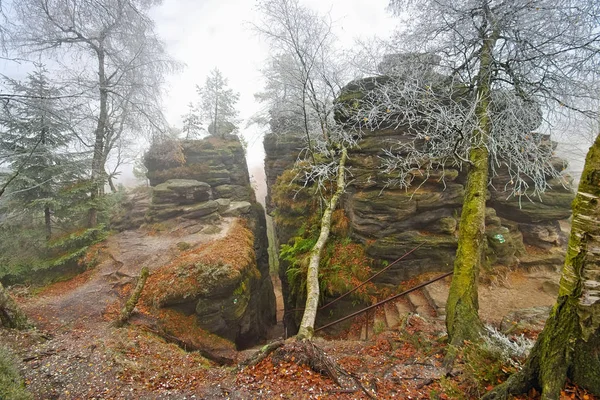 Zandsteen rotsen in de Elbe Sandstone Mountains met rietvorst — Stockfoto