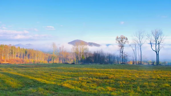 La Suiza bohemia en la niebla —  Fotos de Stock