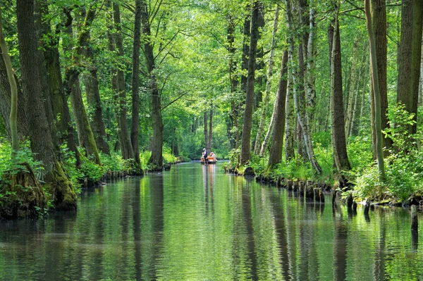 Spree Paisagem florestal em Brandemburgo — Fotografia de Stock