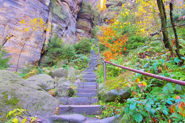 Stairs to the Pfaffenstein in the Elbe sandstone mountains — 스톡 사진