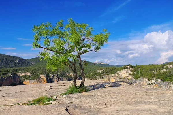 카탈루냐 산악 지대에 있는 시루 라나 마을 근처의 풍경 — 스톡 사진
