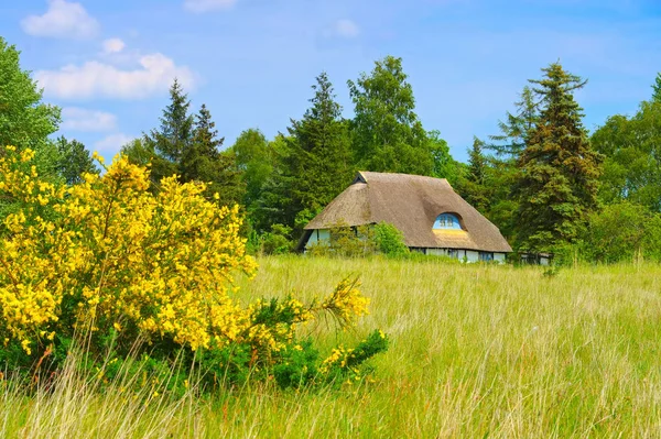 Freesenort on island Ummanz in spring — ストック写真