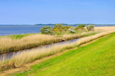 Ummanz adasındaki sahil.