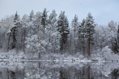 Karlı kış manzarası