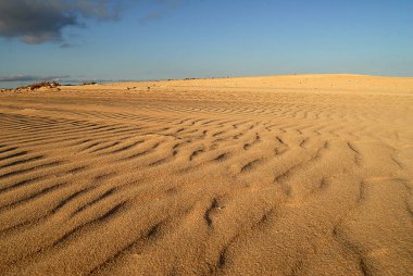 Dunas de Corralejo