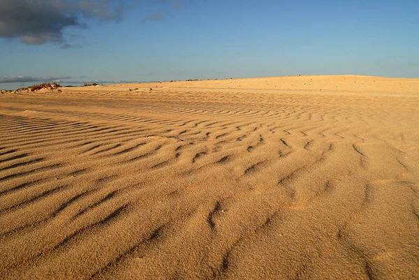Dunas de Corralejo