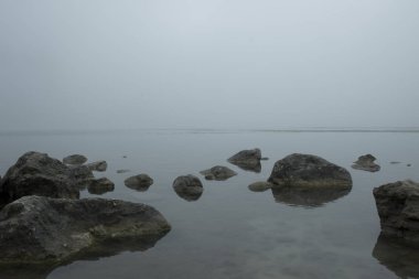 sis bir sürü ile bir kış gününde manzara