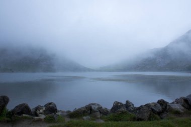 sis bir sürü ile bir kış gününde manzara