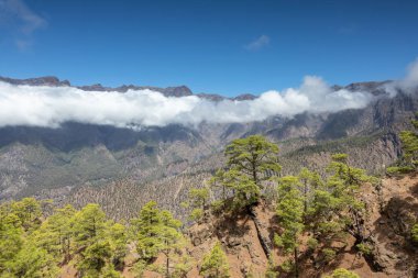 La Palma 'nın ünlü kalderası