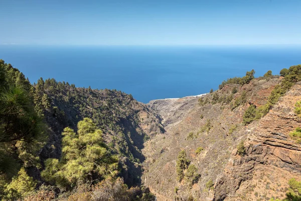 Barranco de Garome sull'isola di La Palma — Foto Stock