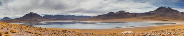Πανόραμα Της Λαγκούνα Μισκάντι Έρημος Ατακάμα Χιλή — Φωτογραφία Αρχείου