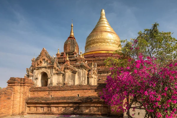 Antike Dhammayazika Pagode Bagan Myanmar — Stockfoto
