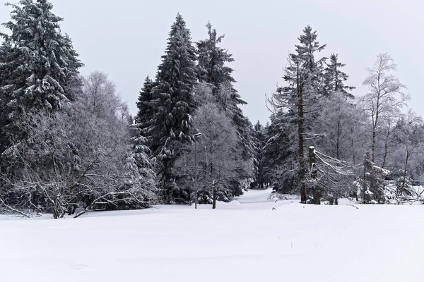 Зимний пейзаж в национальном парке Гарц — стоковое фото