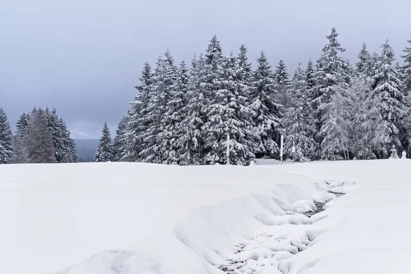 Bela paisagem de inverno no parque nacional das montanhas Harz — Fotografia de Stock