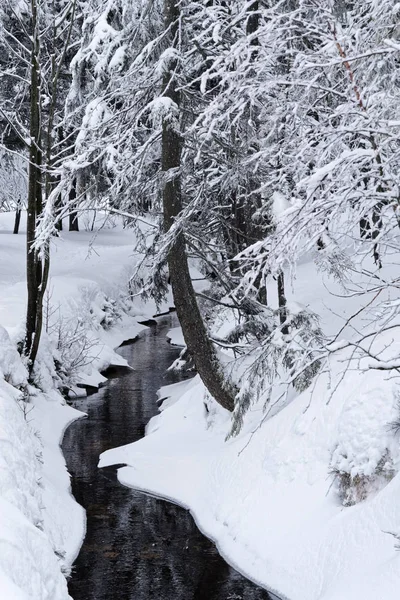 Маленький ручей в зимнем лесу — стоковое фото