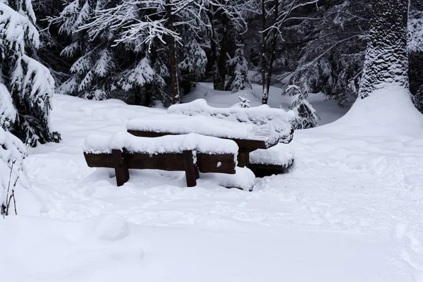 Заснеженный деревянный стол для пикника в лесу — стоковое фото
