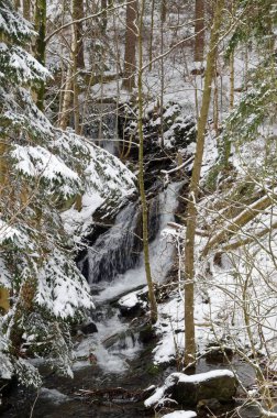 Kış ormanında küçük bir şelale