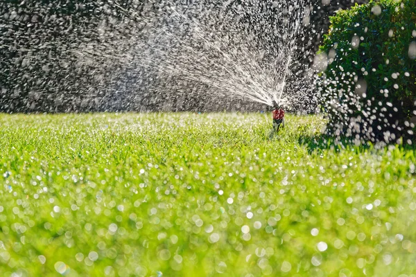 Rasenbewässerung Durch Automatische Pop Sprinkleranlage Stockbild